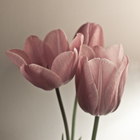 mm6235